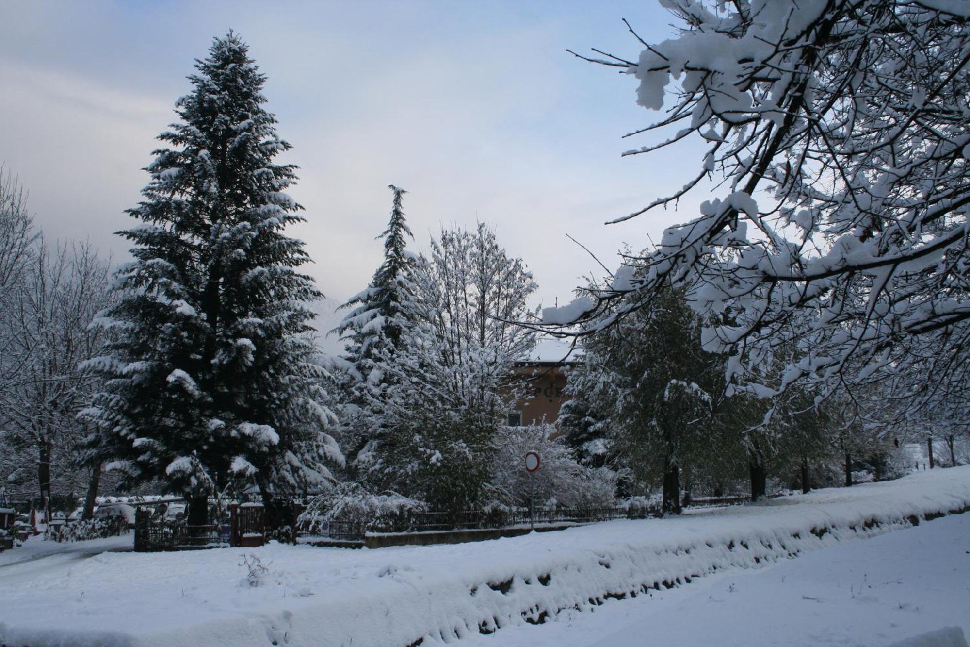Garden House - Hotel Sport Levico Terme Eksteriør billede